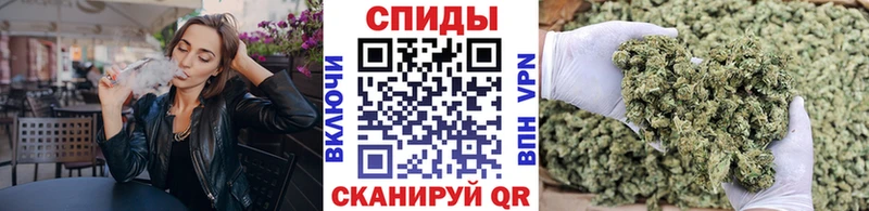 kraken   Зерноград  БУТИРАТ буратино 