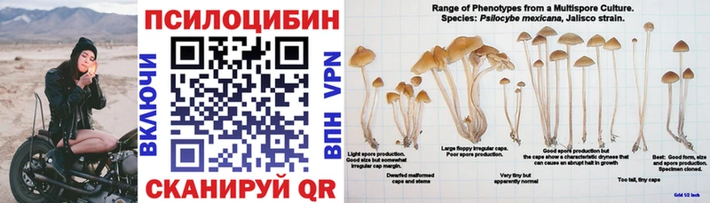 купить наркотик  Зерноград  Псилоцибиновые грибы Magic Shrooms 